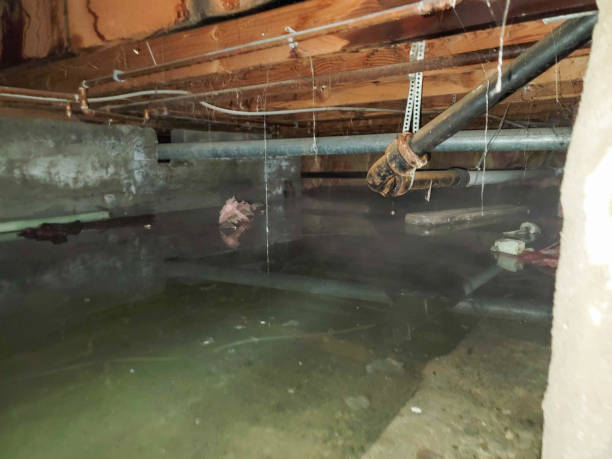 Best Flood restoration services  in Hypoluxo, FL