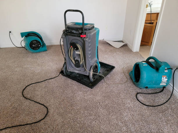 Best Water damage contractors near me  in Hypoluxo, FL