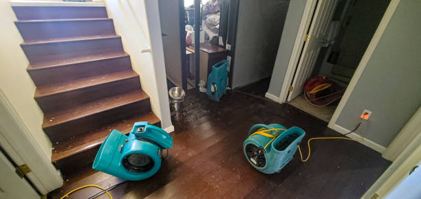 Best Water damage restoration services  in Hypoluxo, FL