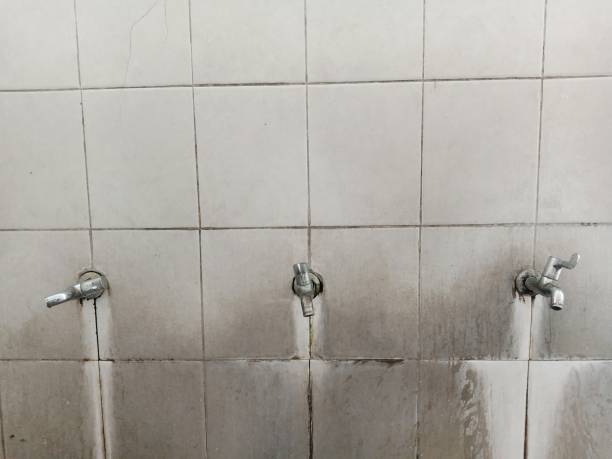 Best Sewage cleanup and water damage restoration  in Hypoluxo, FL